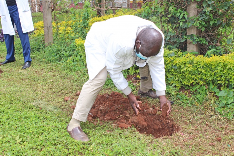 School of Medicine Dean, Prof. Fredrick Otieno plants a seedling.