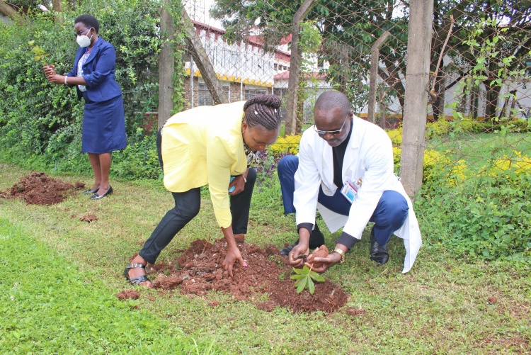 School of Dental Sciences Dean Dr. Walter Odhiambo being assisted to plant a seedling.