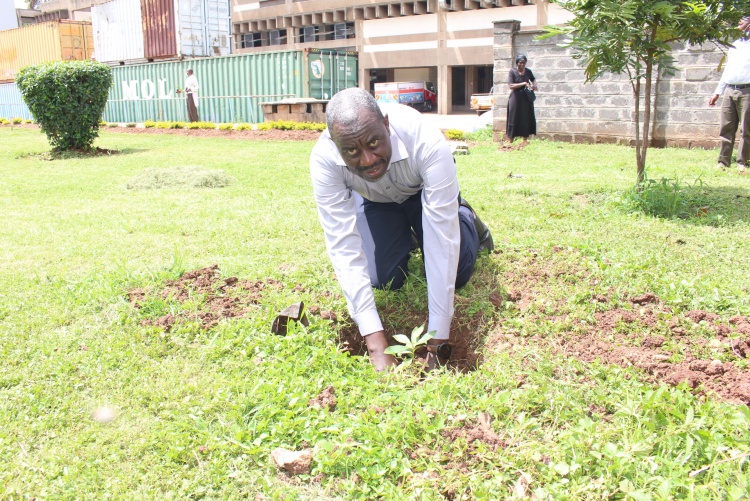 Dr. Edward Muge, Chair of Biochemistry Department plants a tree during the drive.