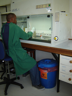 KAVI laboratory