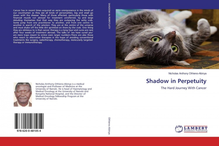 Shadow in perpetuity book cover.