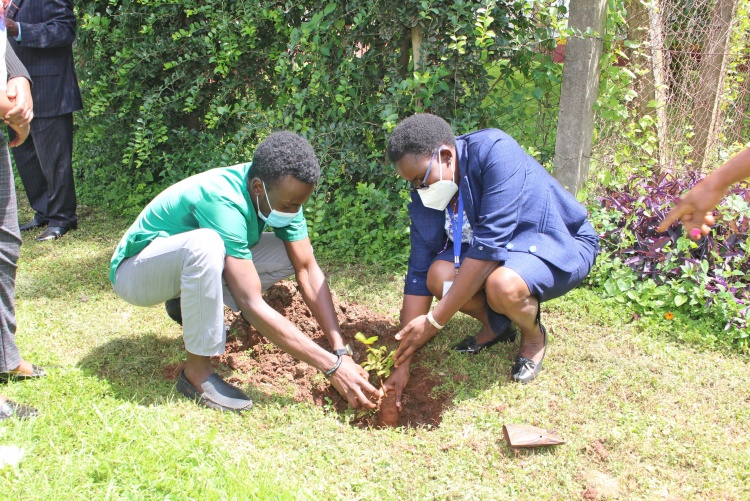 A student official and lecturer from the School of Nursing plant a seedling.