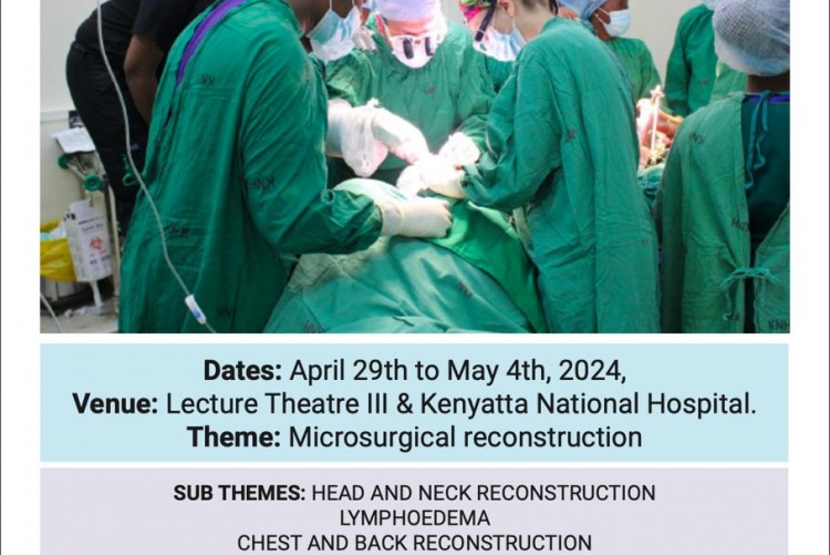 Microsurgery workshop 2024 poster.