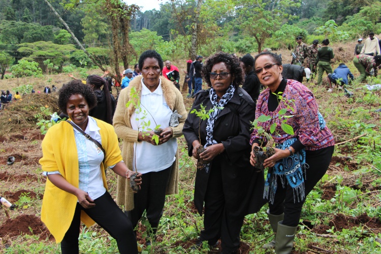 National tree planting day