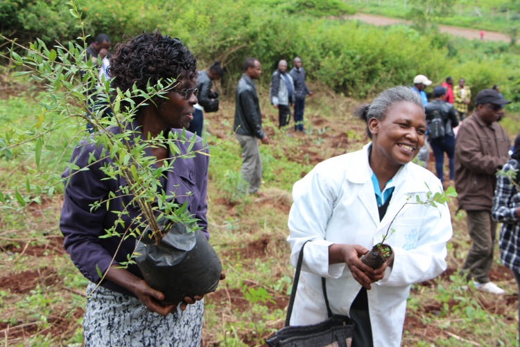 National tree planting day