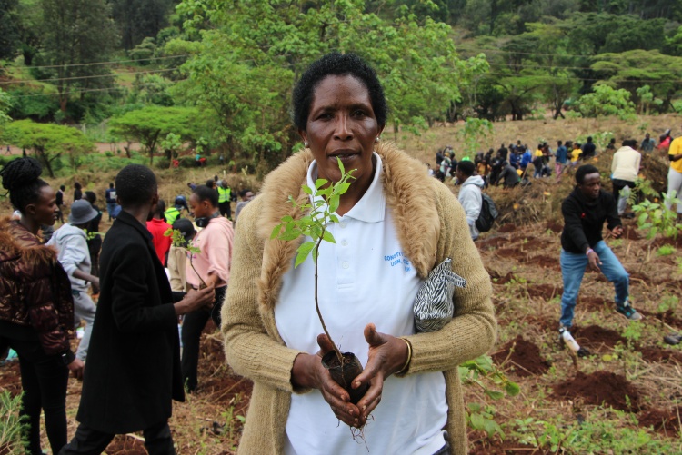 National tree planting day