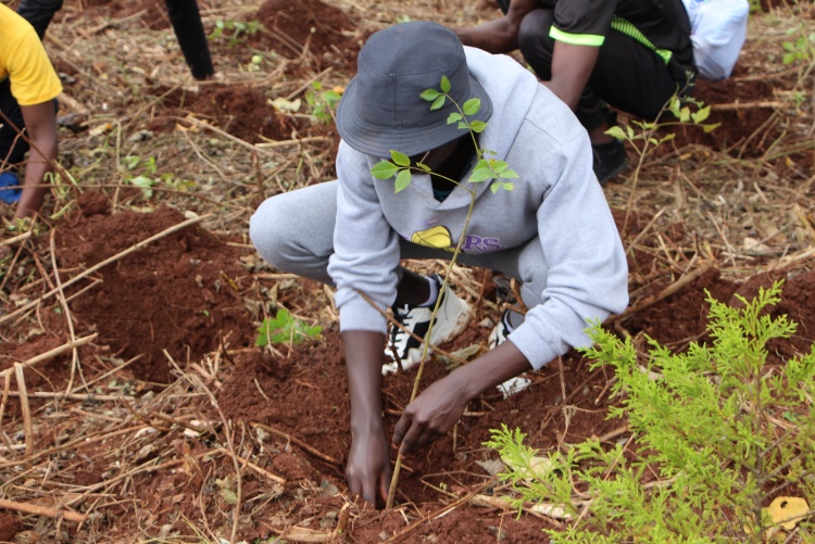 National tree planting day