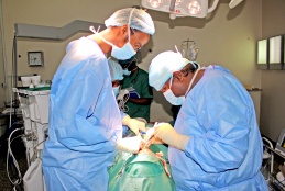 Postgraduate medical students performing a surgery procedure.